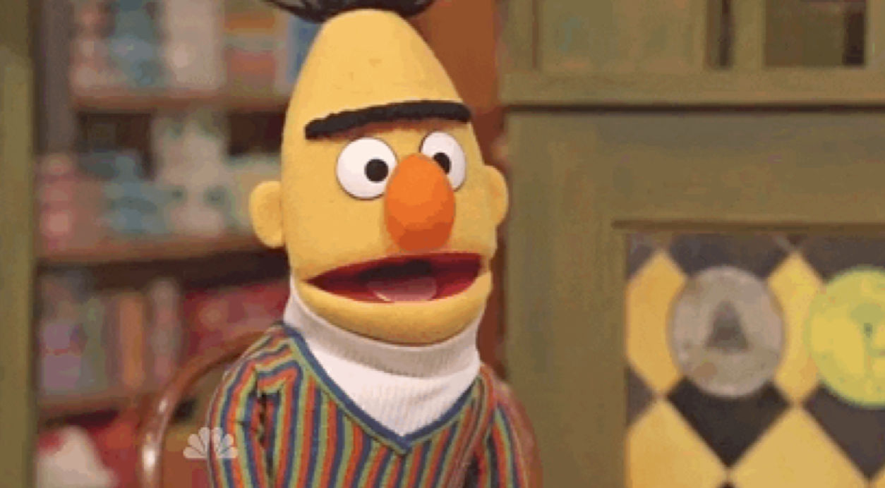 Image of the muppet Bert