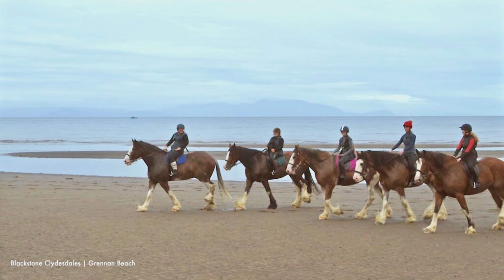 Group of people on horse back on a beach in front of the sea