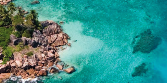 overhead shoot of a rocky beach front and blue clear ocean 