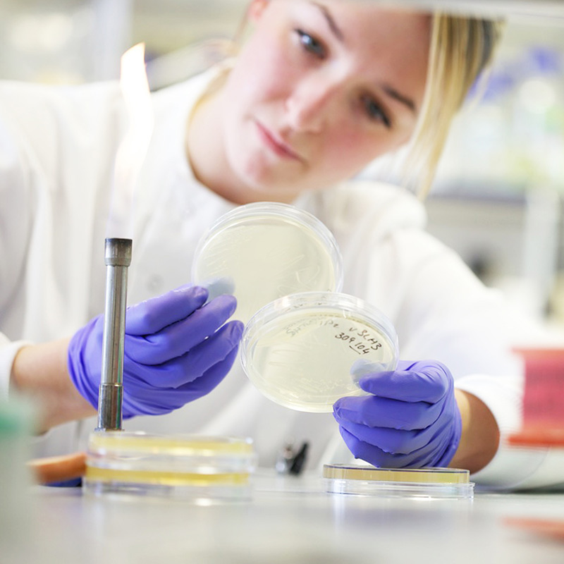 Image of technician working in a lab