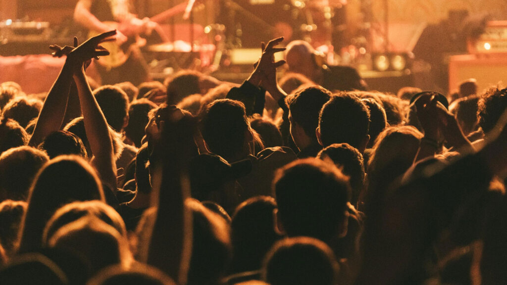 Group of people at a gig 