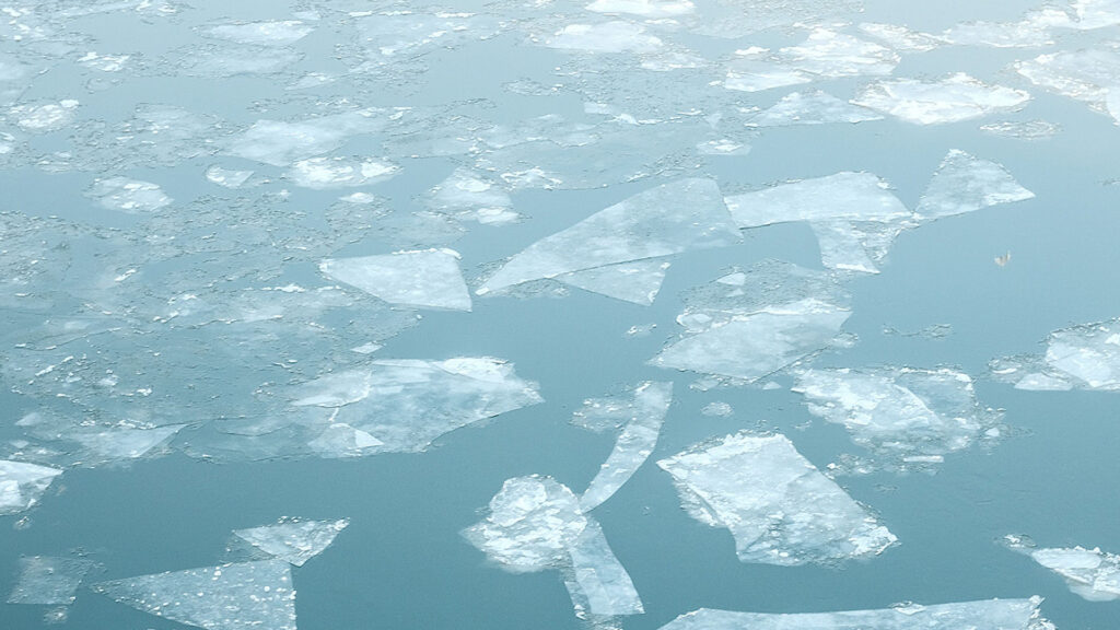 Ice field in the ocean