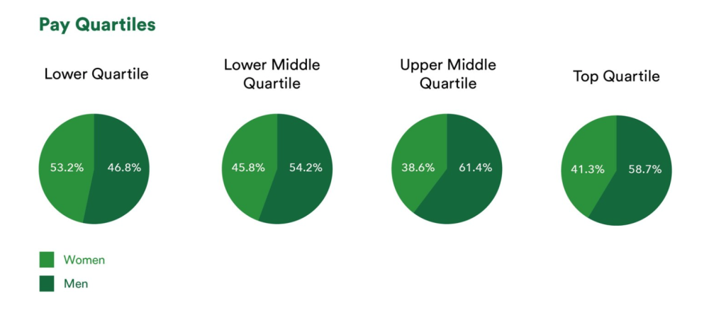 Pay gap pie charts