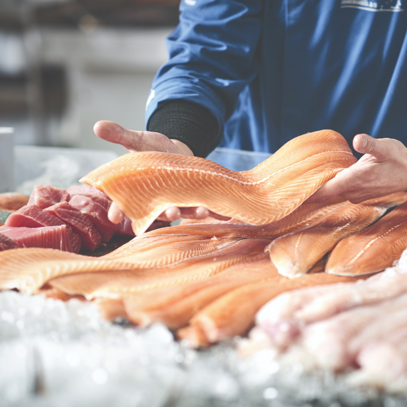 Person handling fresh fish