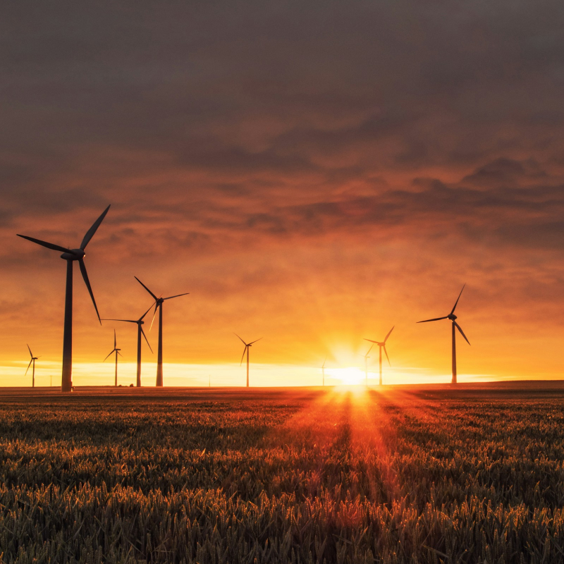 Wind farm on a sunset